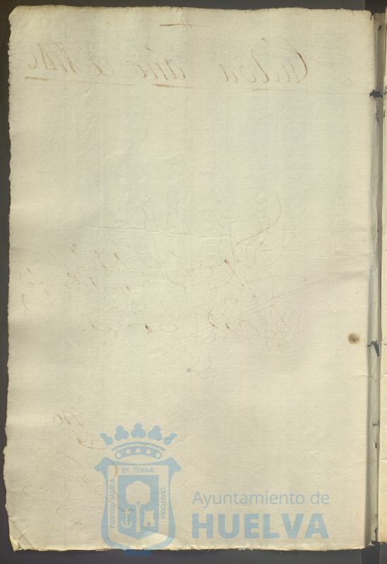 * Image 736