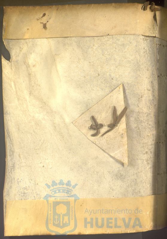 * Image 3