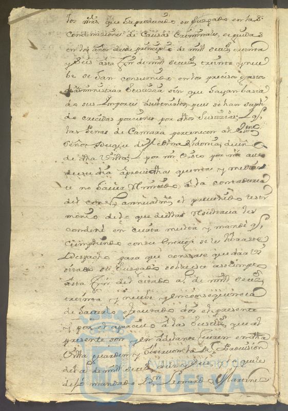 * Image 234