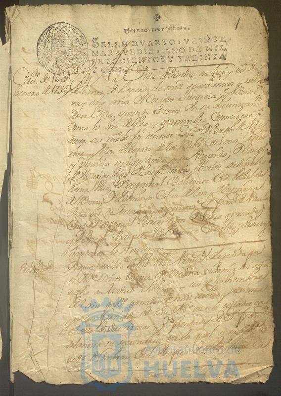 * Image 7