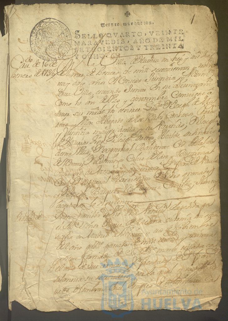 * Image 7