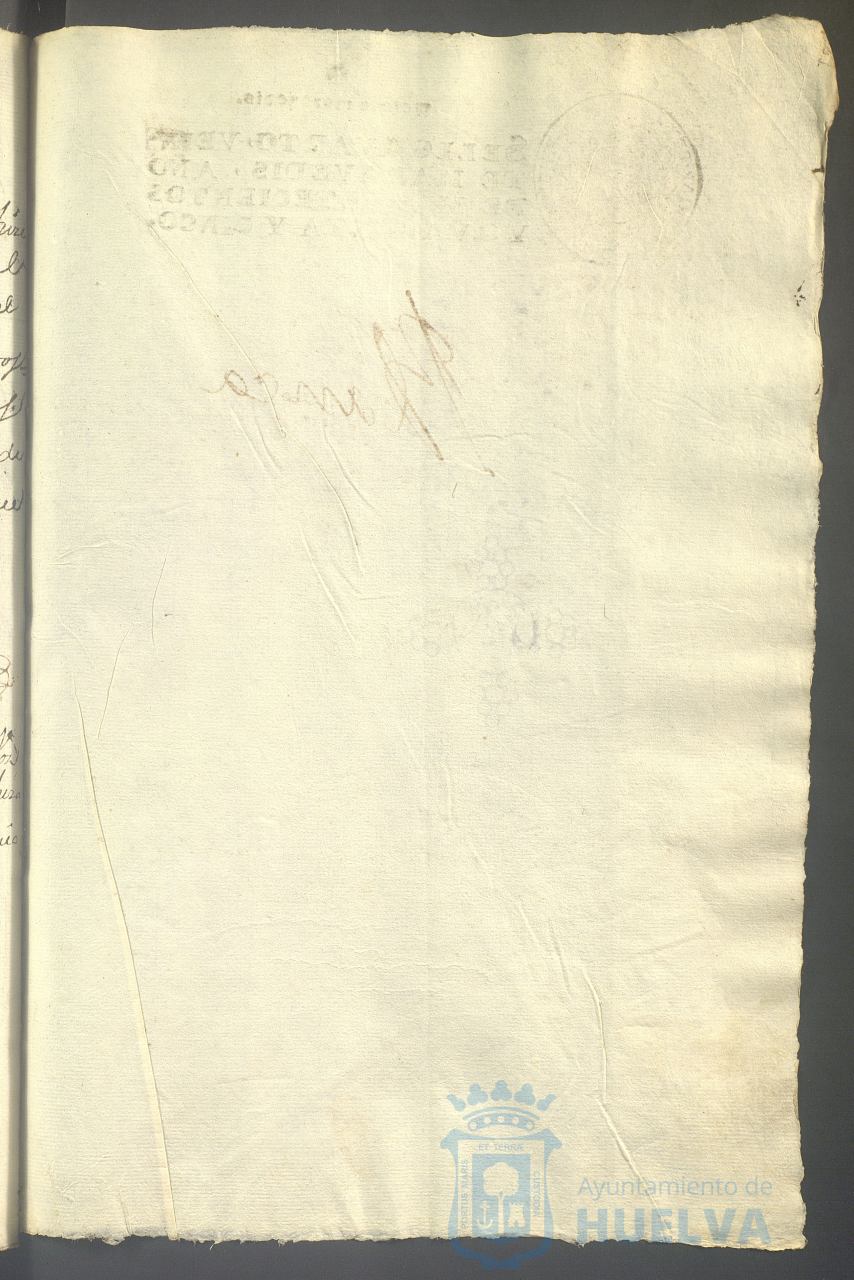 * Image 731