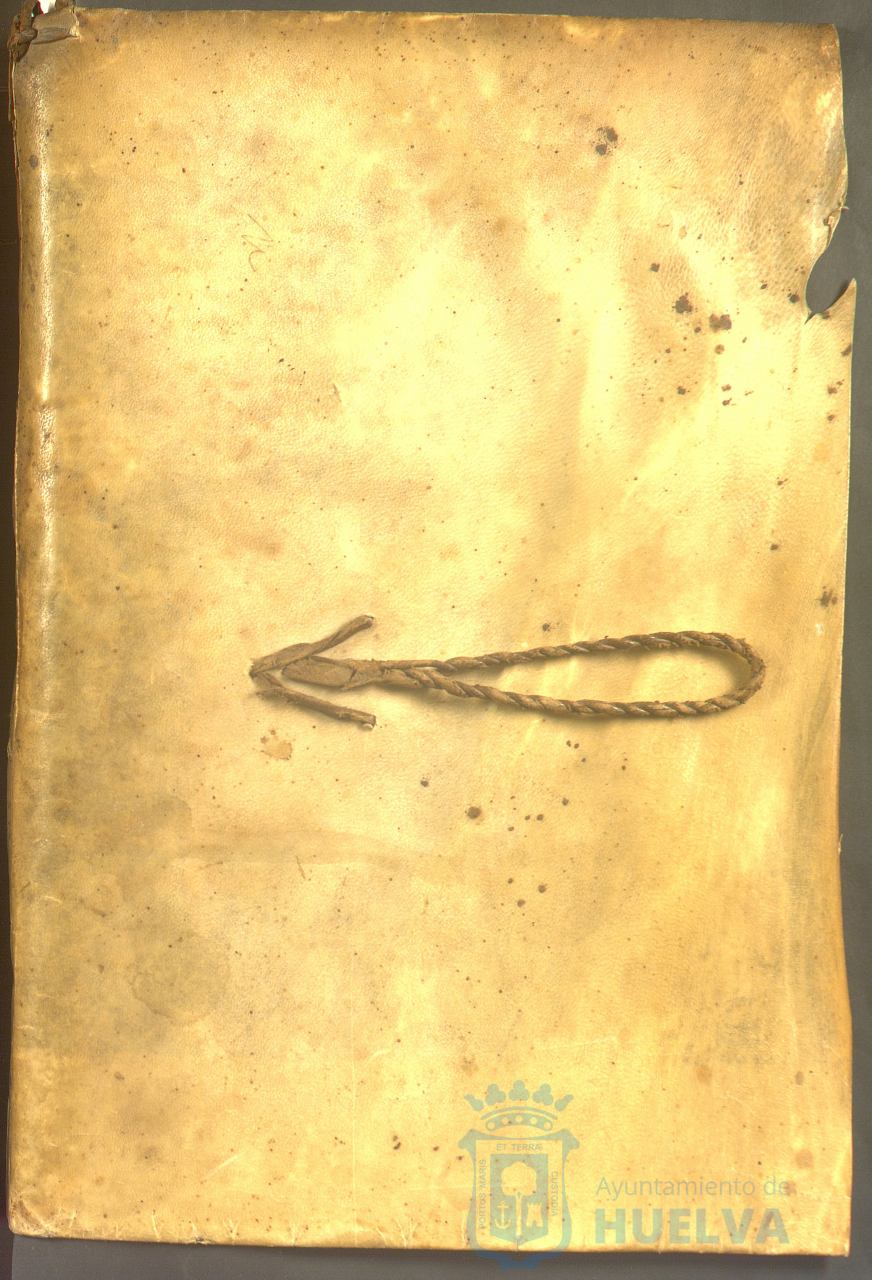 * Image 2