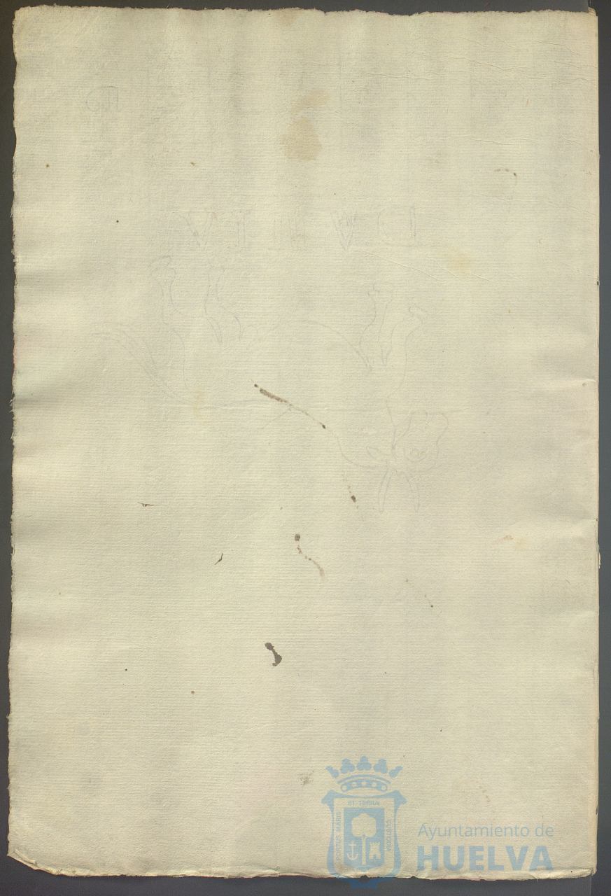 * Image 772