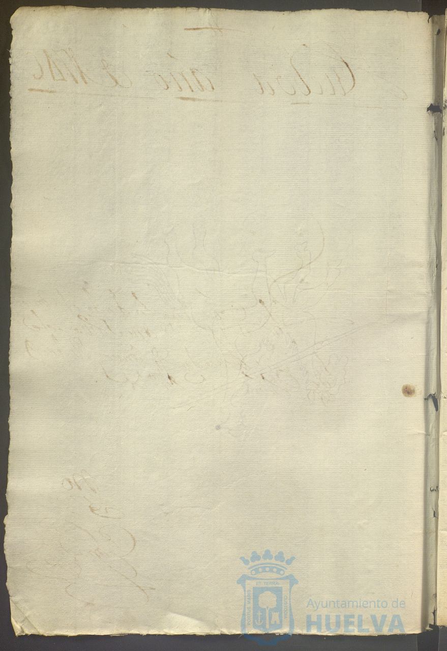 * Image 736