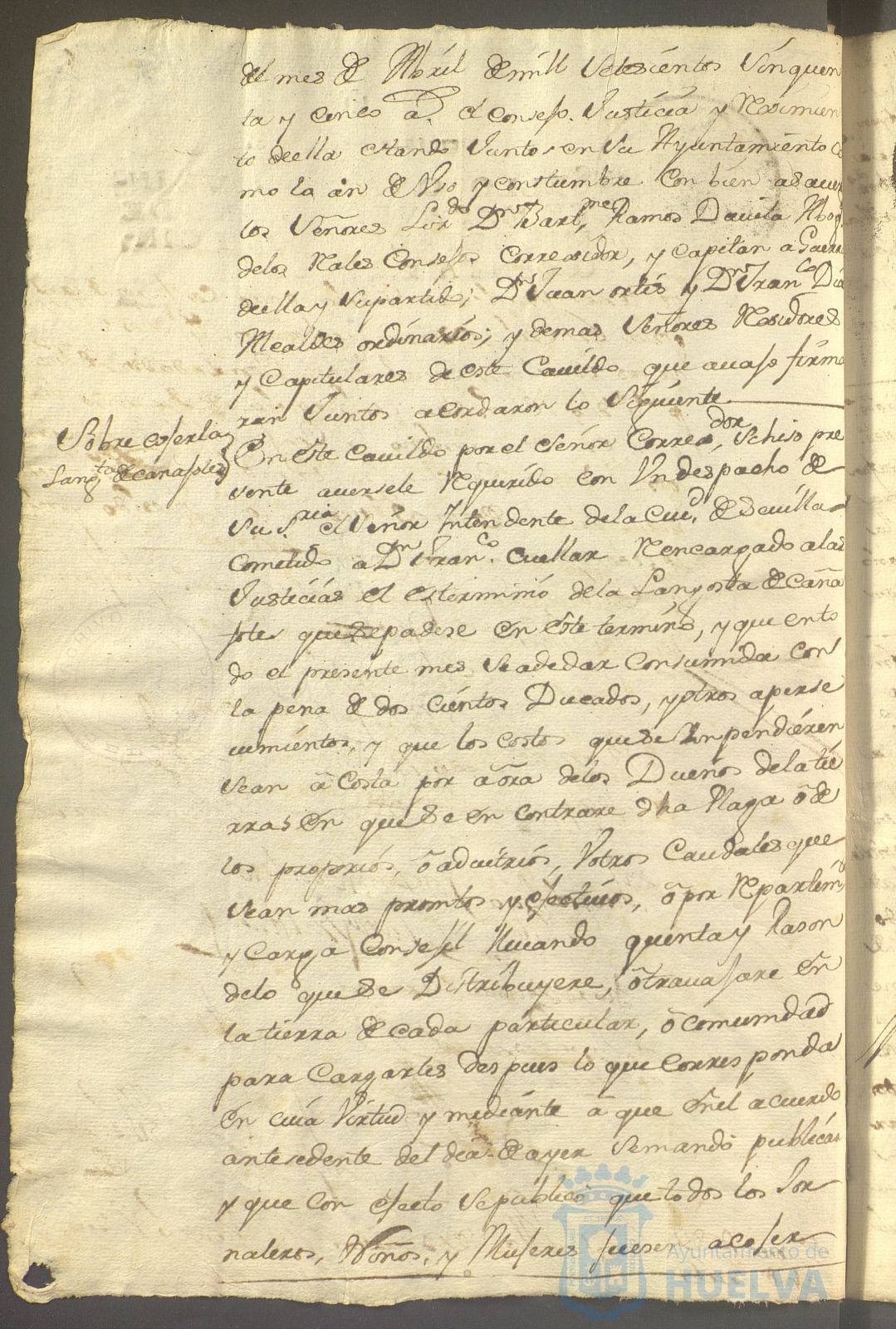 * Image 271