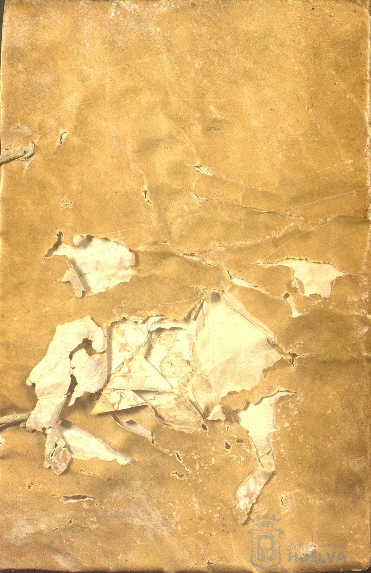 * Image 409