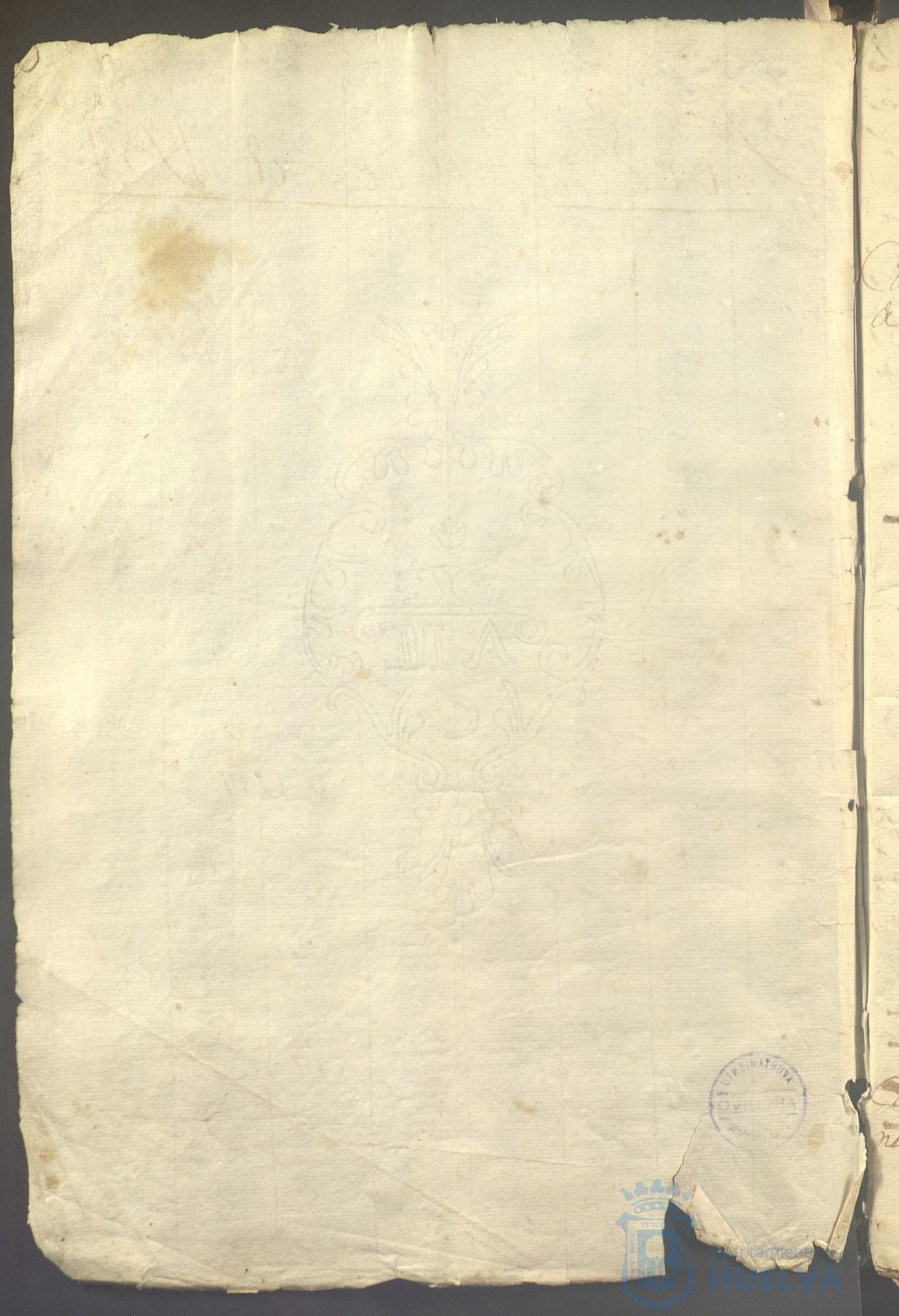 * Image 7