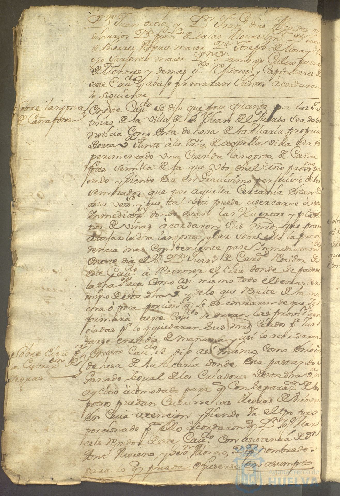 * Image 263