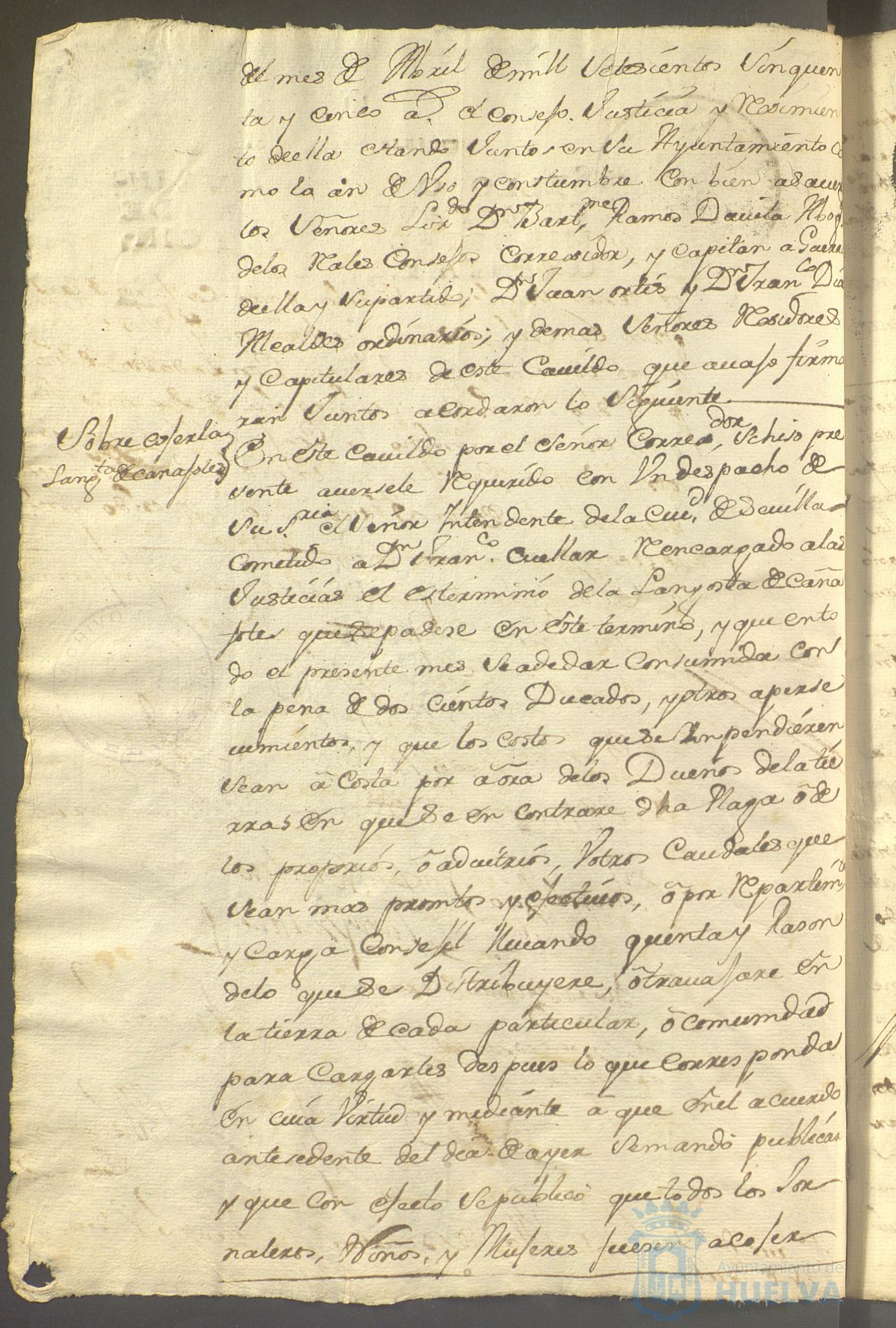 * Image 271