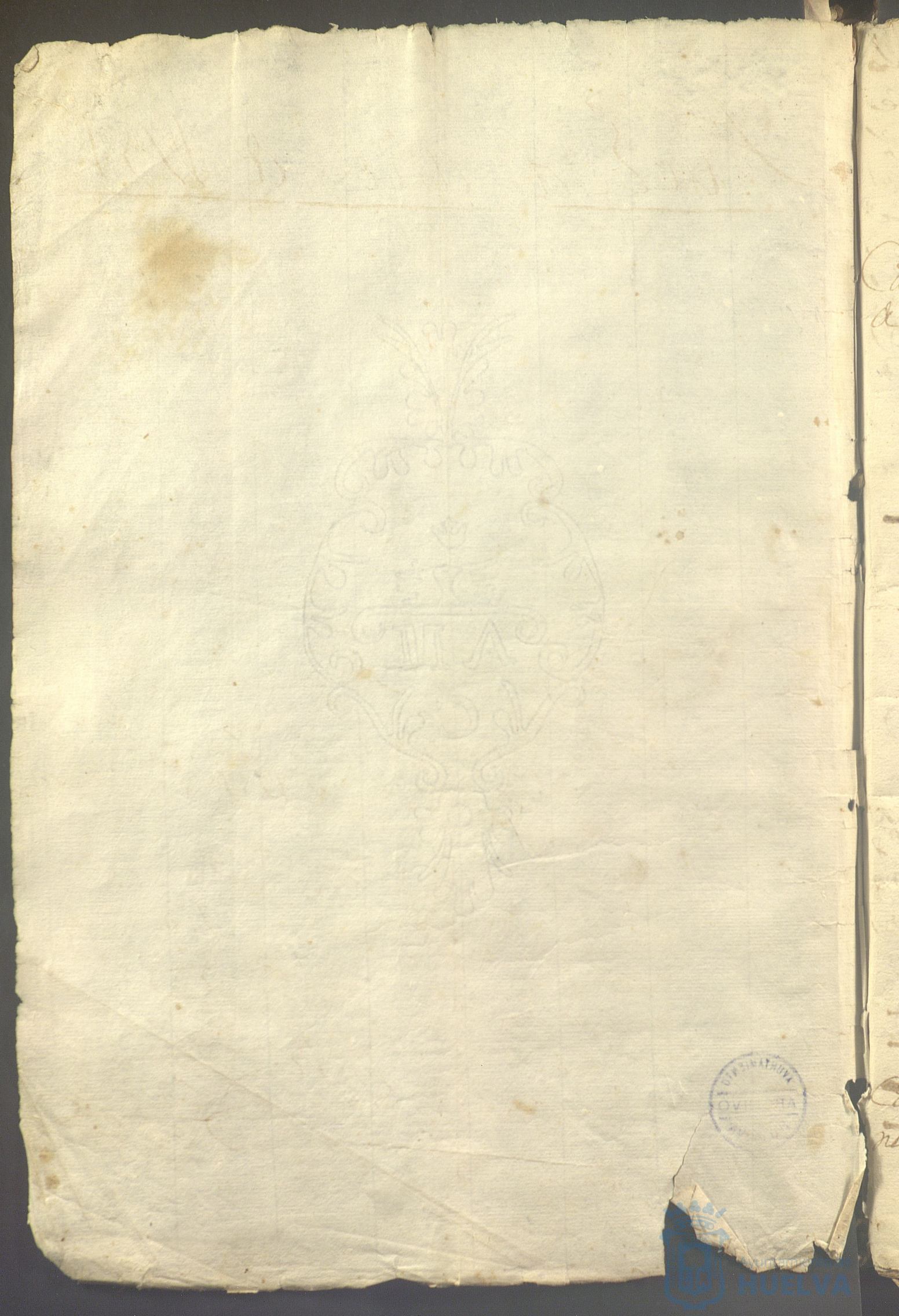 * Image 7