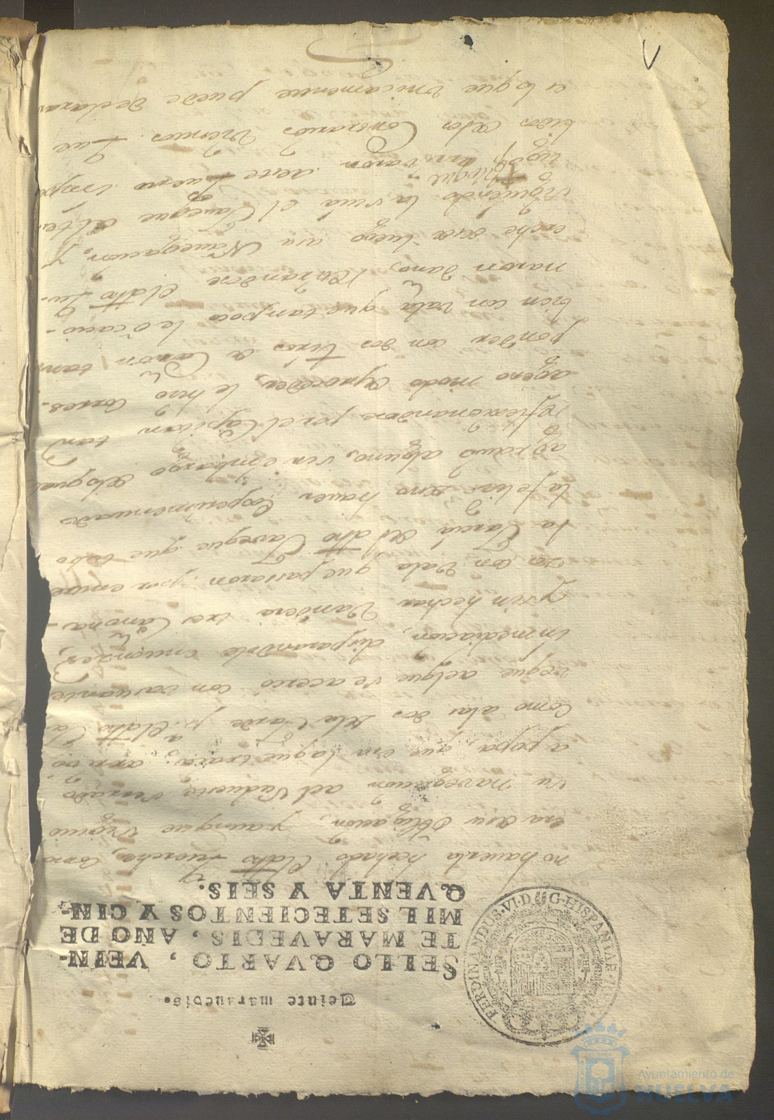 * Image 4