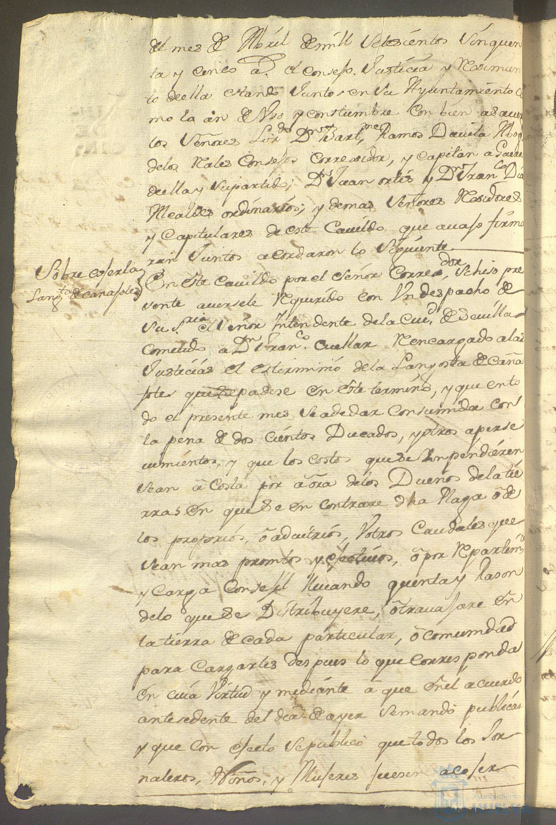 * Image 271