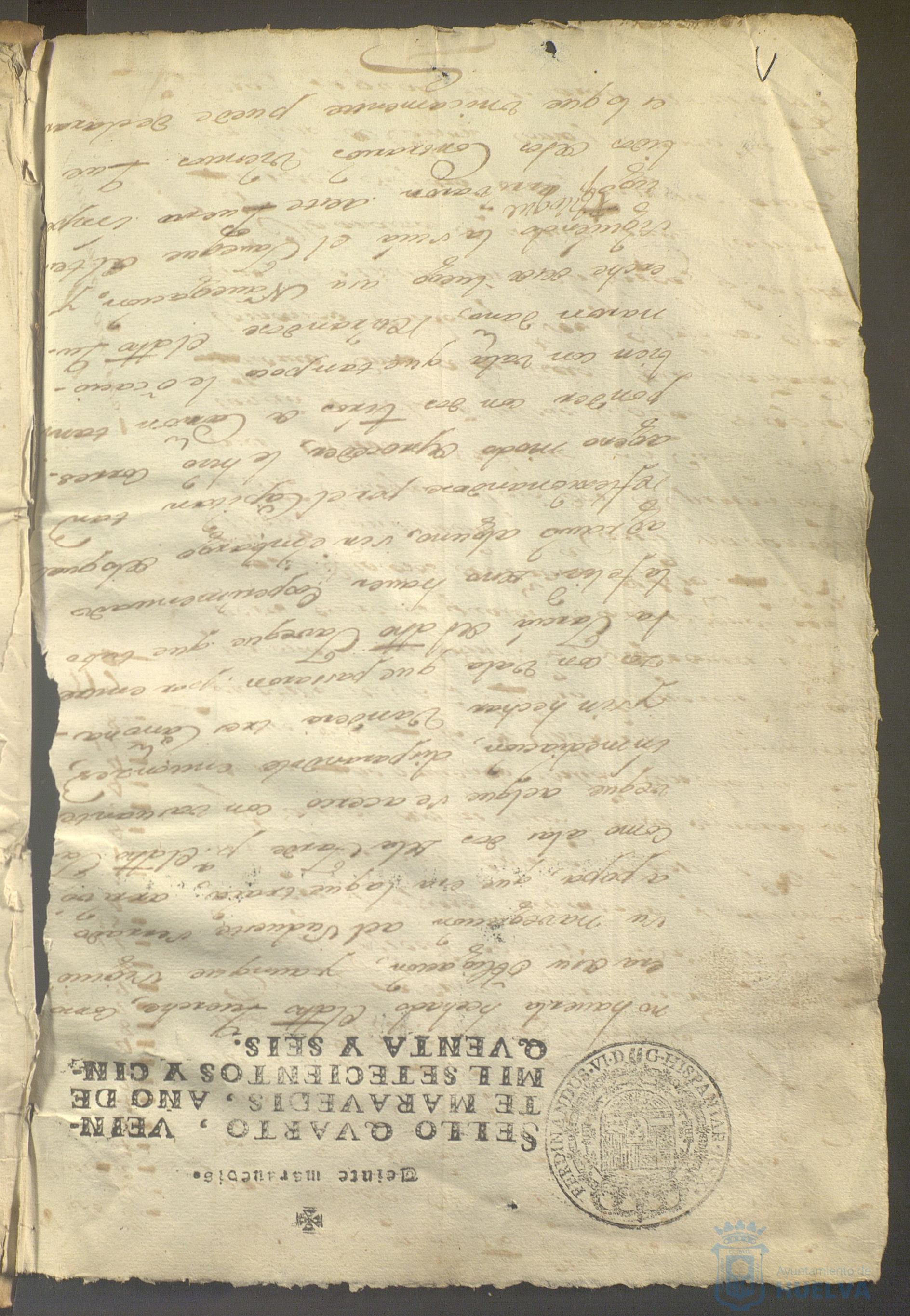 * Image 4