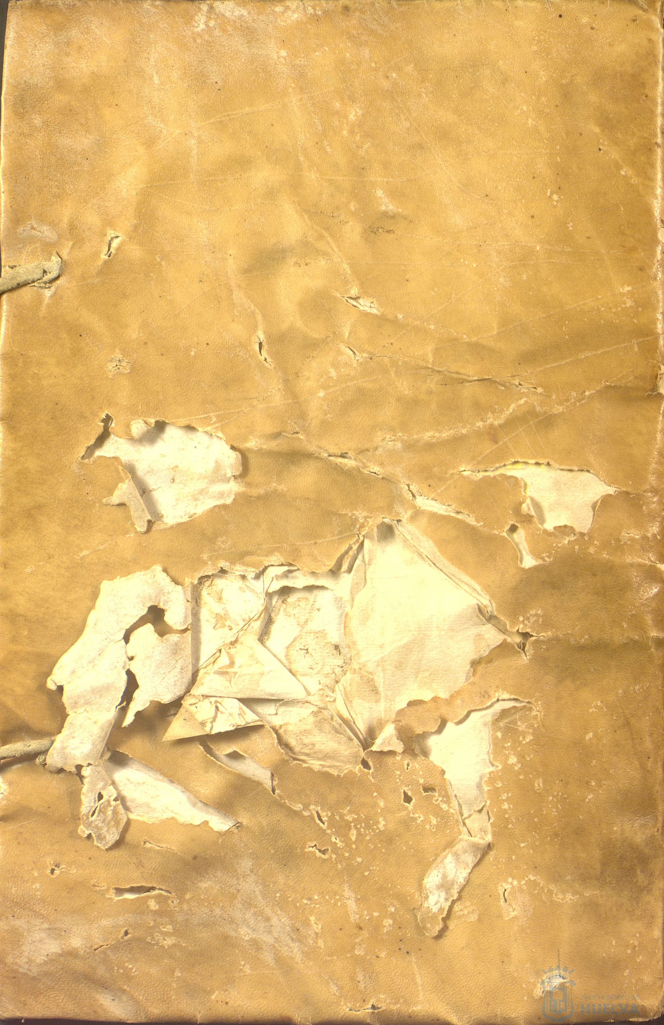 * Image 409