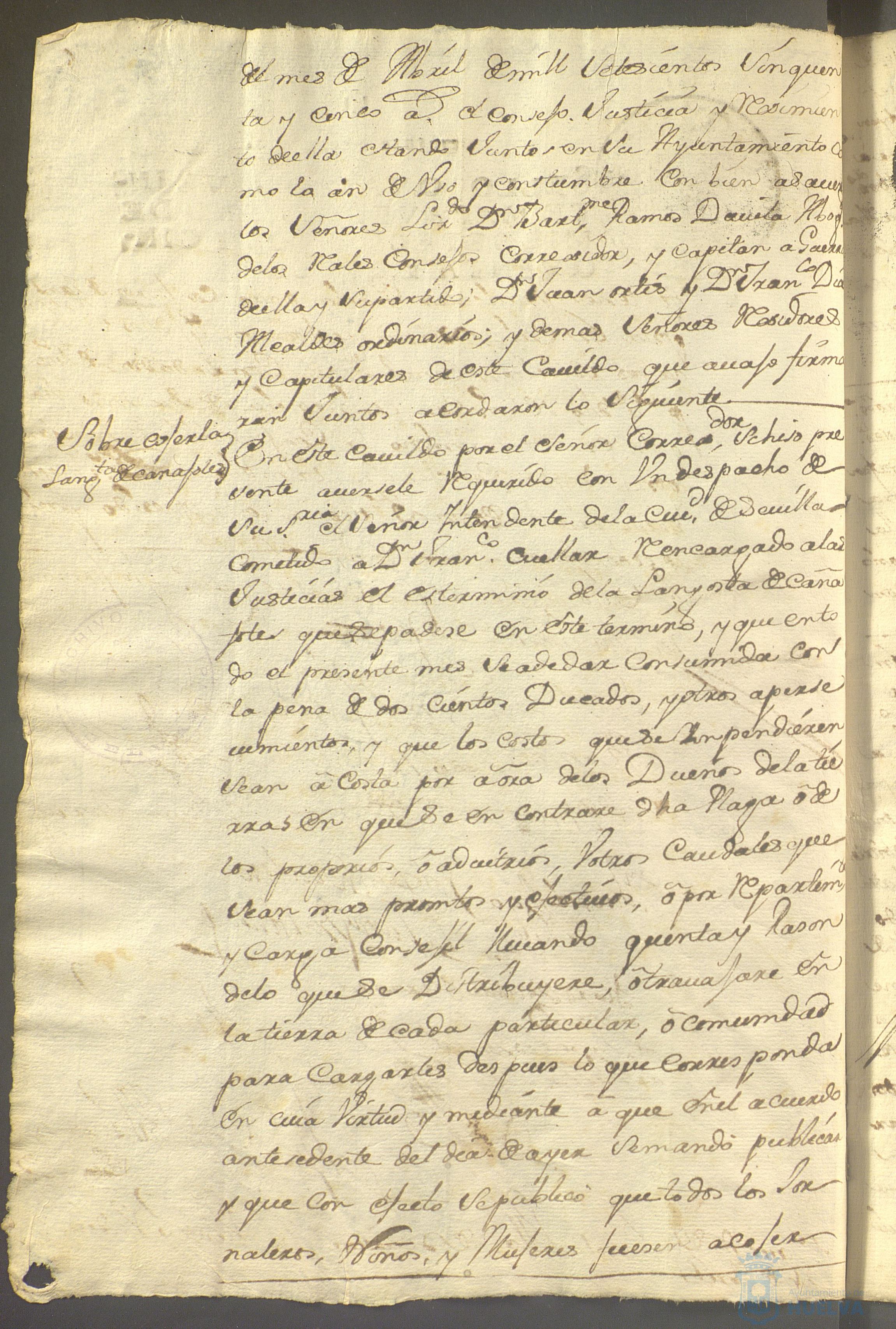 * Image 271
