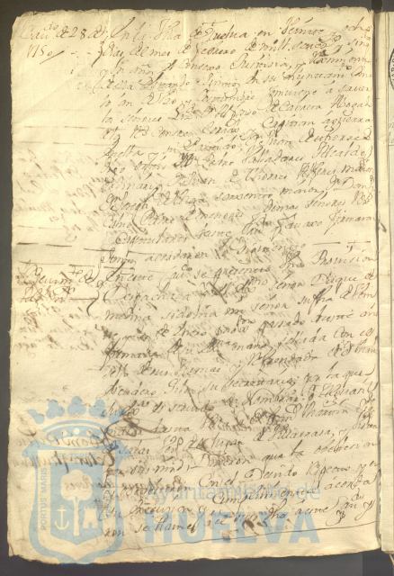 * Image 11