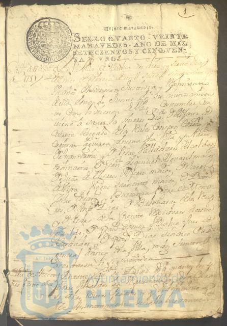* Image 8