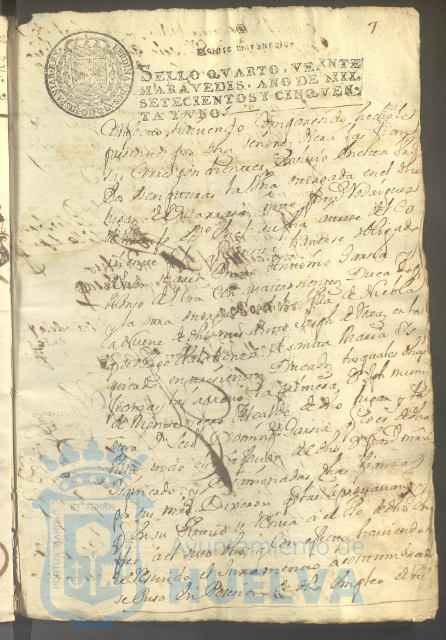 * Image 20
