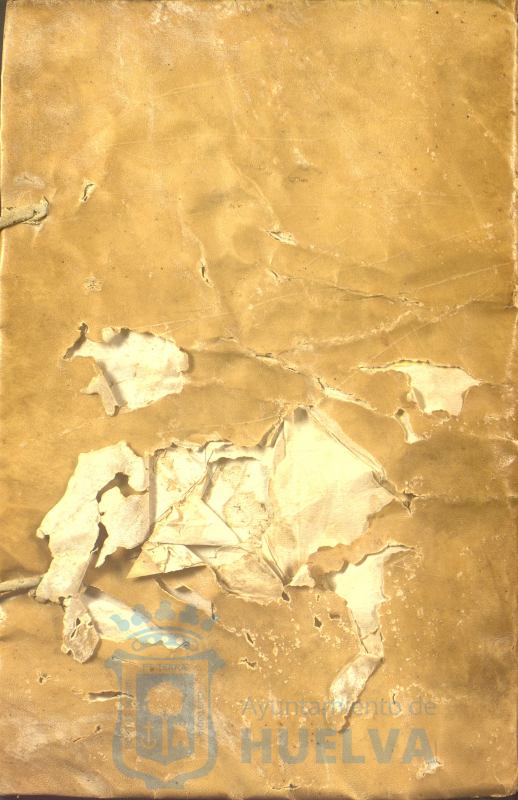 * Image 409