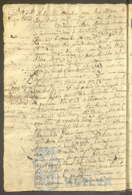 * Image 95