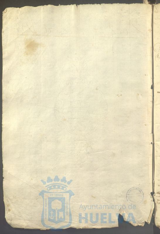 * Image 7