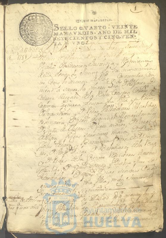 * Image 8