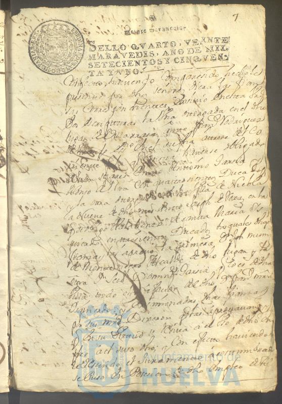 * Image 20