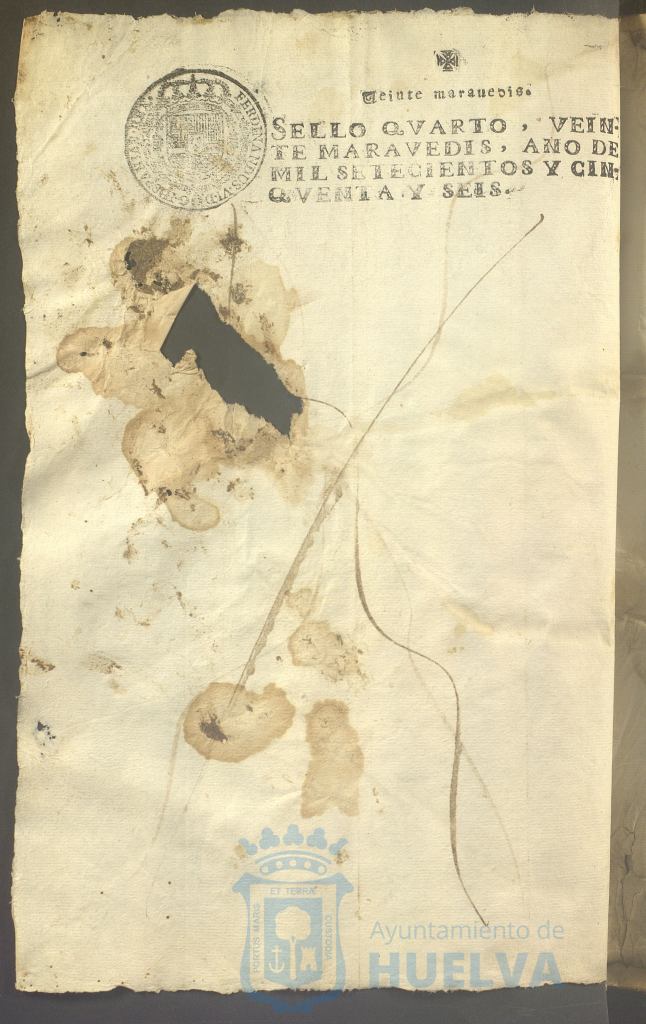 * Image 407