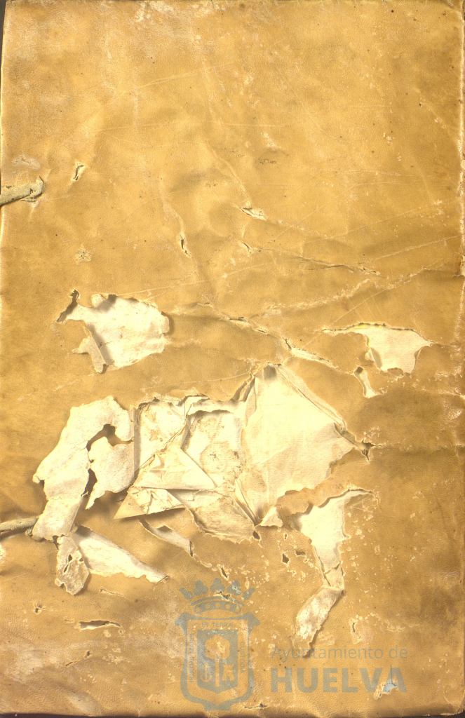 * Image 409