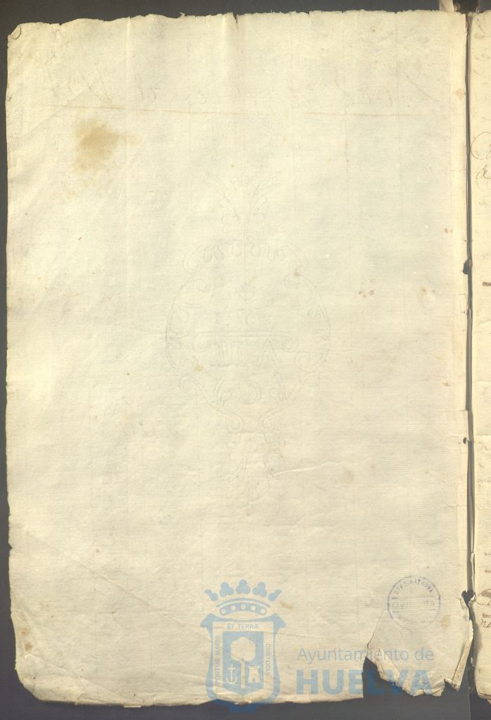 * Image 7