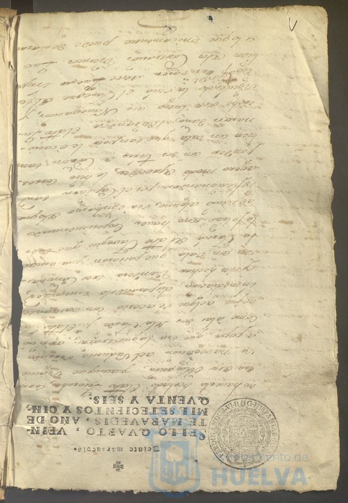 * Image 4