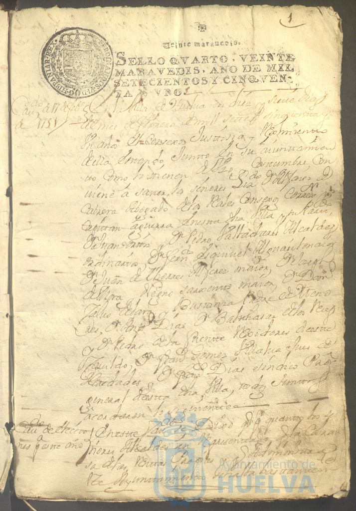 * Image 8
