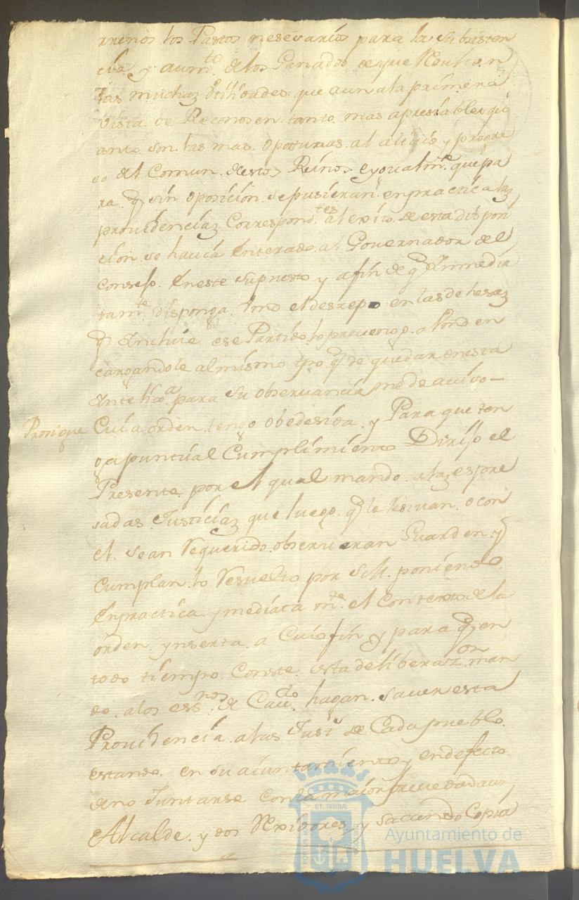 * Image 43