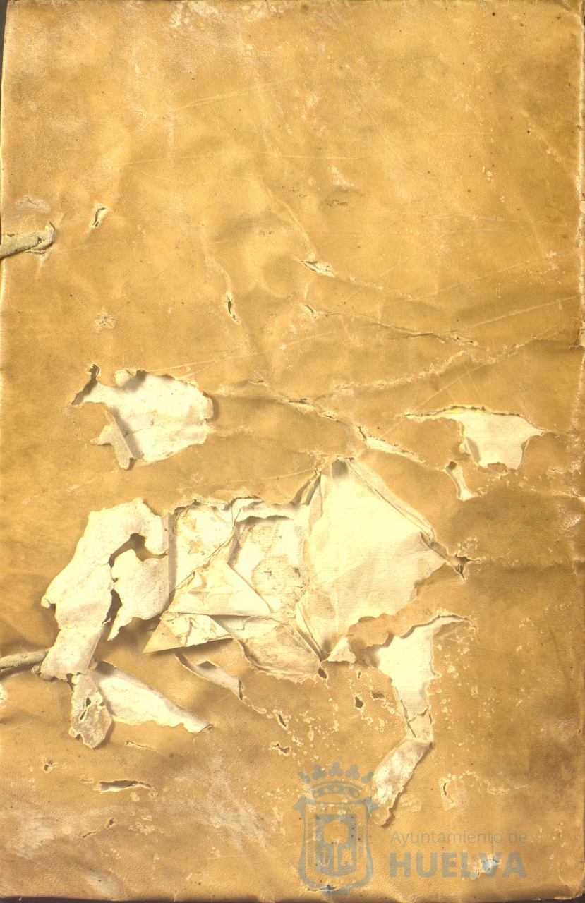 * Image 409