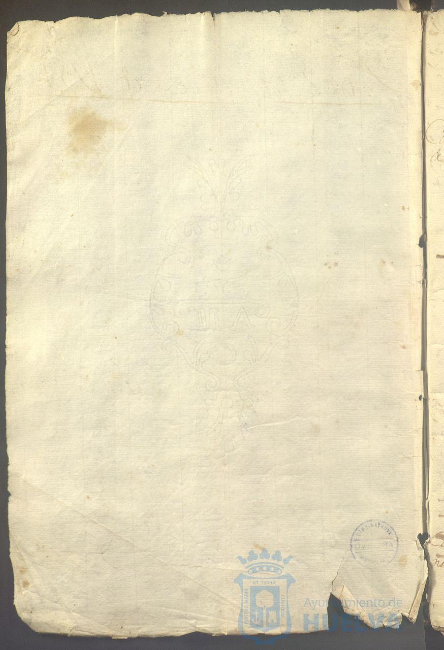 * Image 7