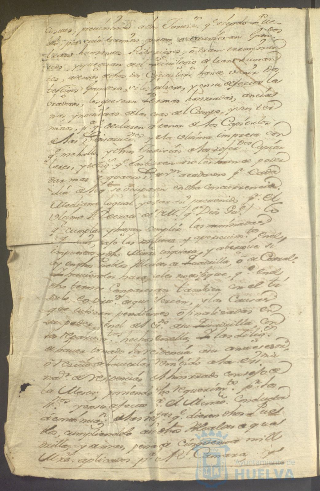 * Image 7
