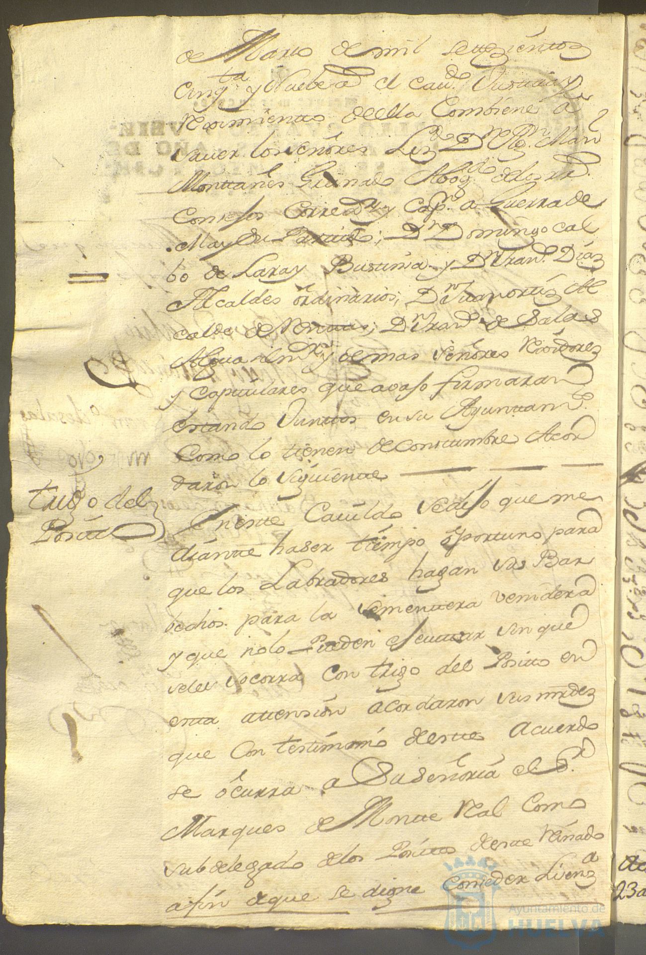 * Image 205