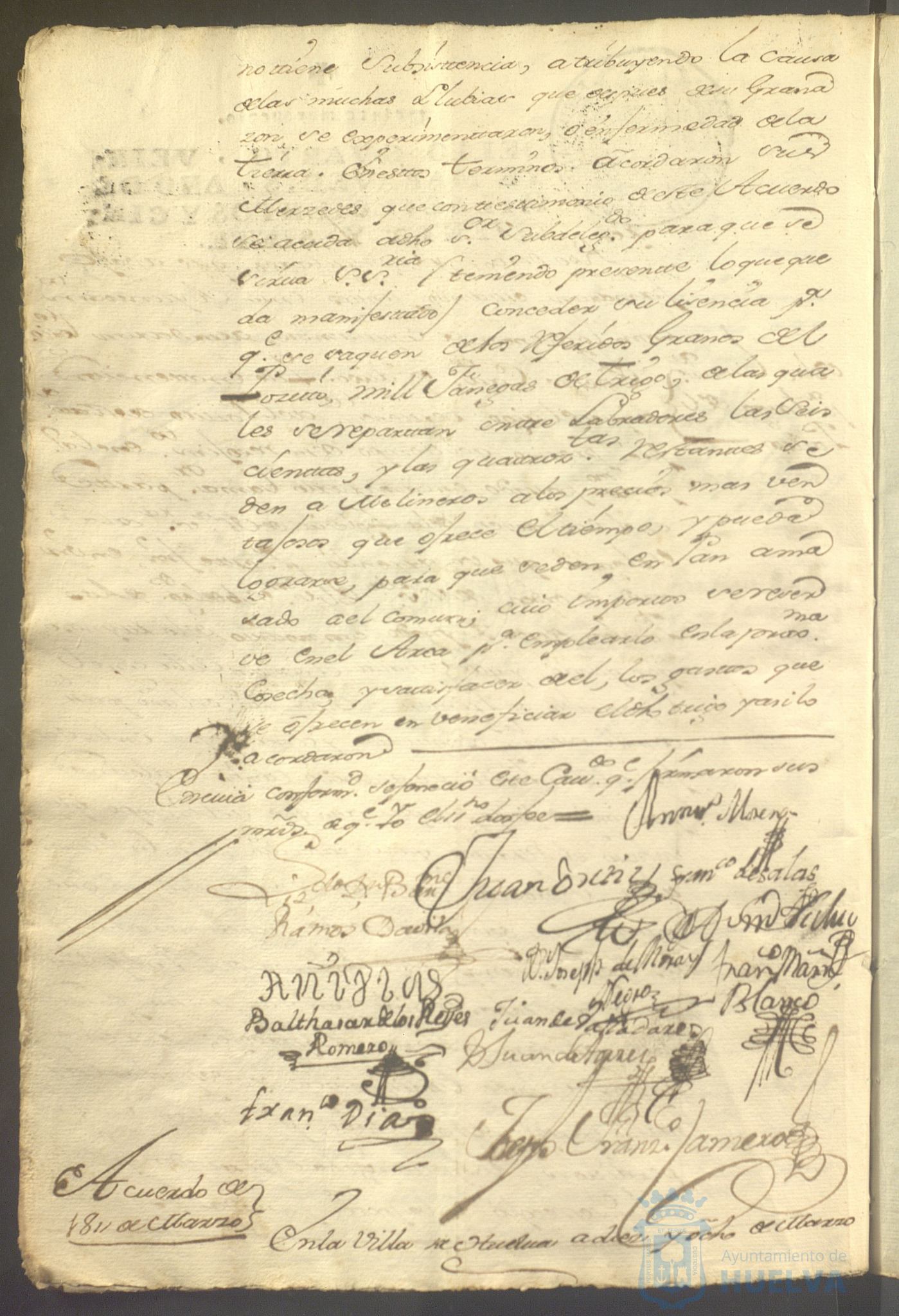 * Image 19