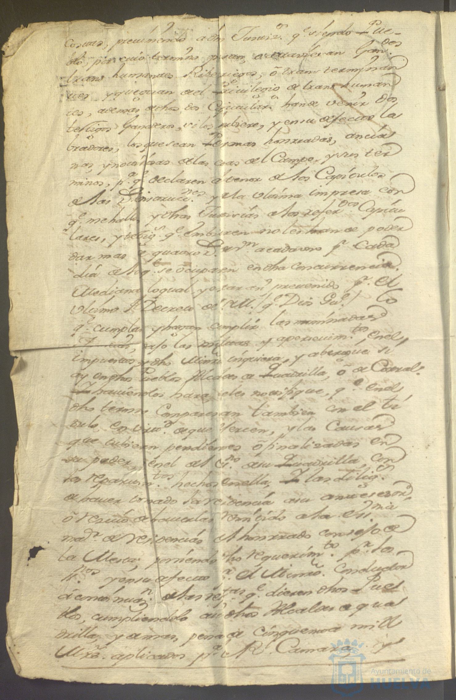 * Image 7