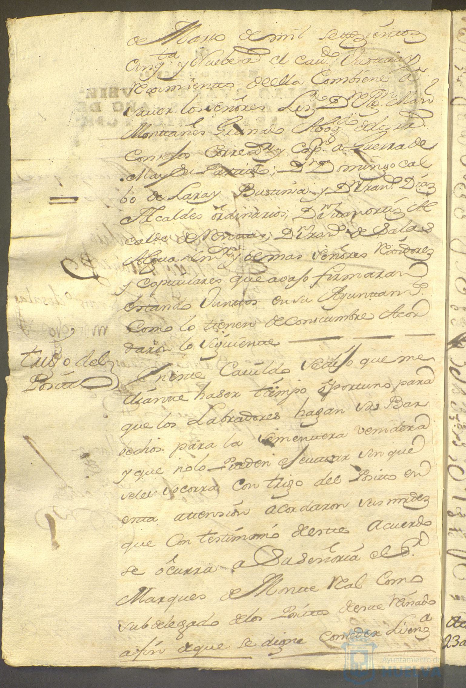 * Image 205