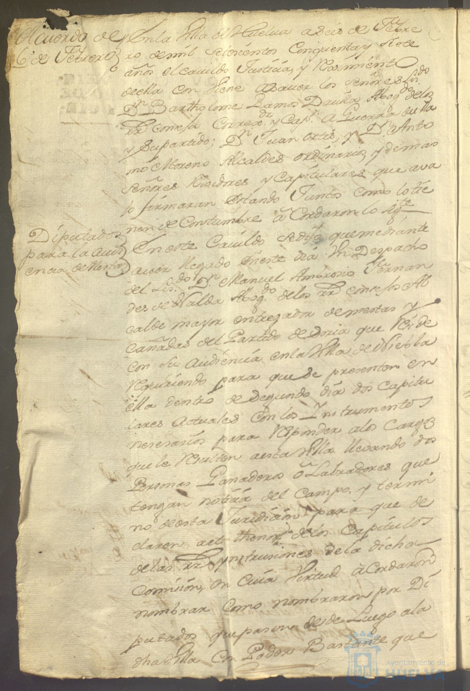 * Image 11