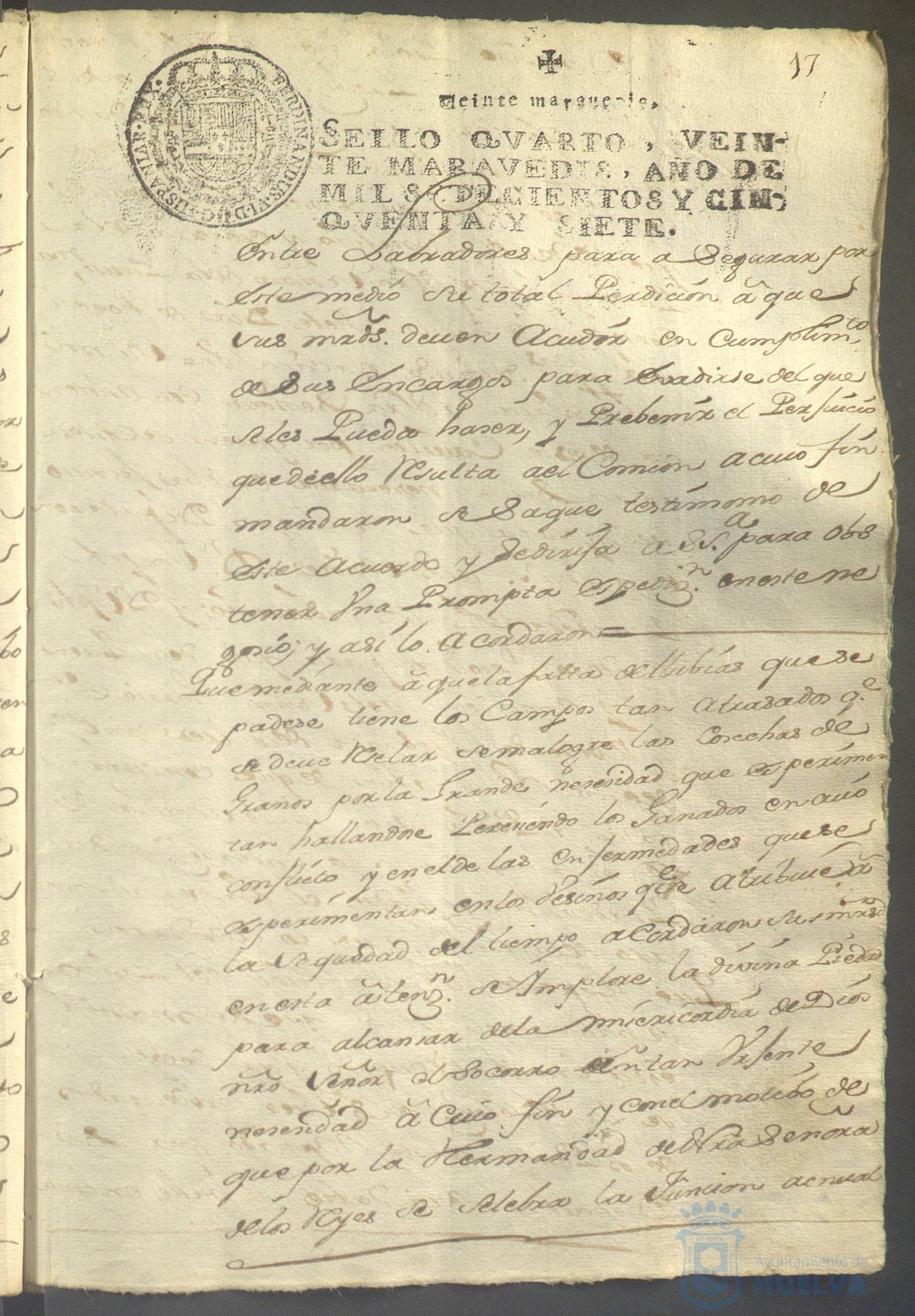 * Image 38