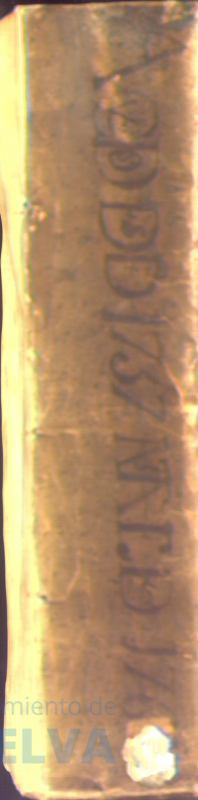 * Image 1