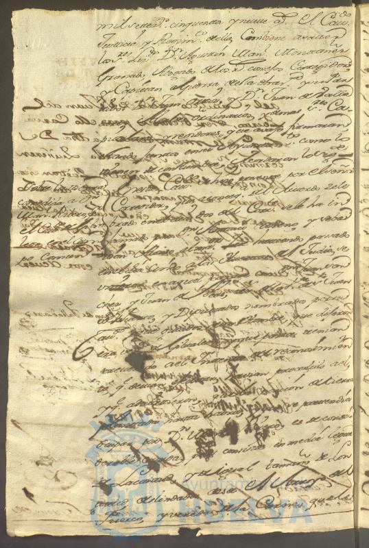 * Image 235