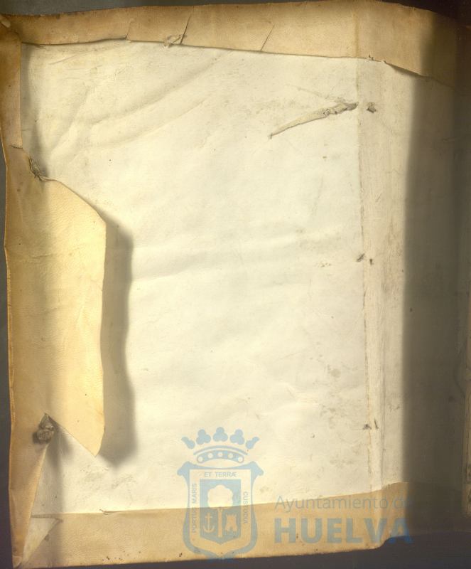 * Image 3