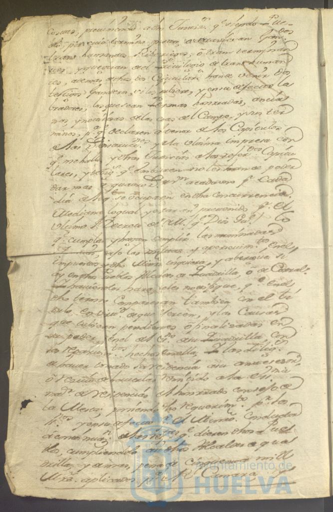 * Image 7