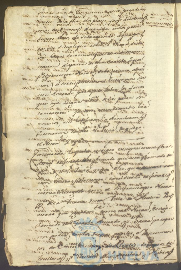* Image 51