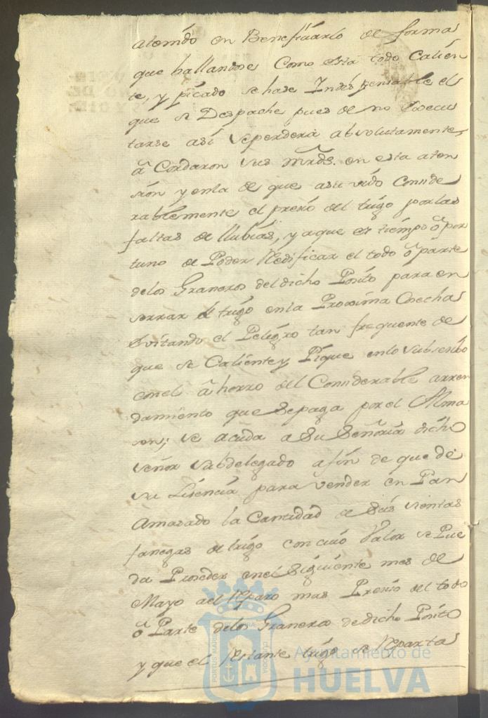 * Image 37