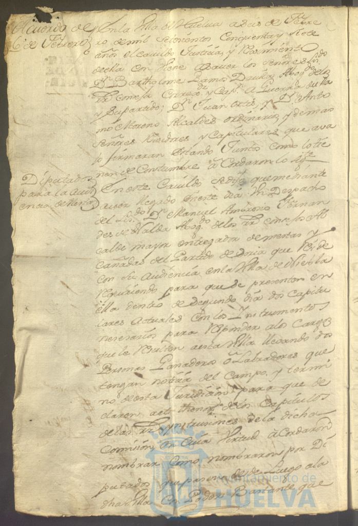 * Image 11